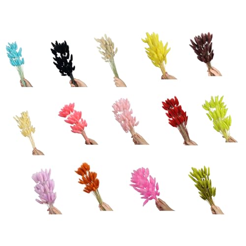 60 flores secas de cola de liebre natural para decoración miniatura 5