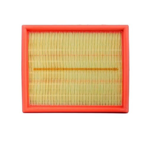Ridex 8A0168 - Filtro Dell'Aria Per Xsara, 206 Cc (2D), 206 (2A/C), 206 Sw (2E/K), 206 Van