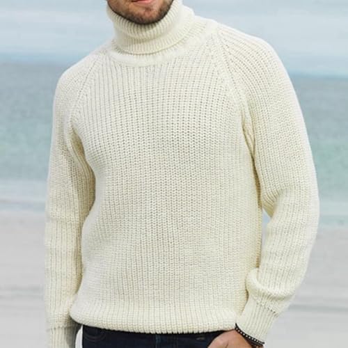 Mens Knitted Turtleneck Sweater Casual Fashion Ribbed Long Sleeve Solid Color Warm Pullover Sweater3