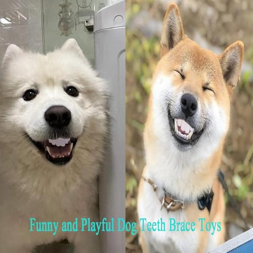 Zahnersatz für Hunde, lustiges Zahnersatzspielzeug, kreativ, humorvoll, reißfest, Silikon, künstliche Zahnspangen für Hunde, leicht zu reinigen, einzigartige Anti-Bisszahn-Zahnspangen
