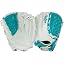 White/Teal | Basket Web