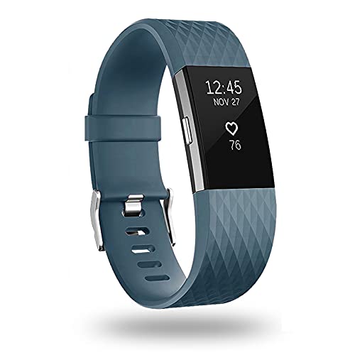 POY Replacement Bands Compatible for Fitbit Charge 2, Special Edition Adjustable Sport Wristbands, Large Slate