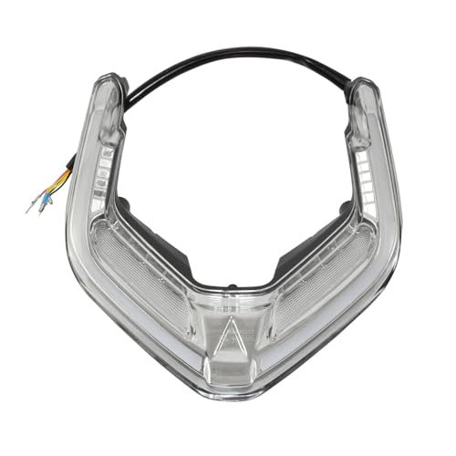 Luz trasera LED Ducati Panigale V2 V4 TAORIDER-MOTO transparente freno intermitentes