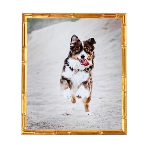 ArtToFrames 16x16 Inch Gold Picture Frame, This 0.75 Inch Custom Wood Poster Frame is .75 - Comes with Foam Backing 3/16 inch and Regular Glass (FBPLD8576-16x16) Cover