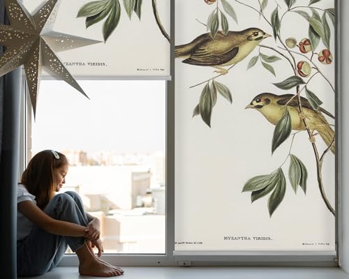 Store enrouleur perméable sans perçage 50x50 cm rideau occultant léger oiseaux - 3