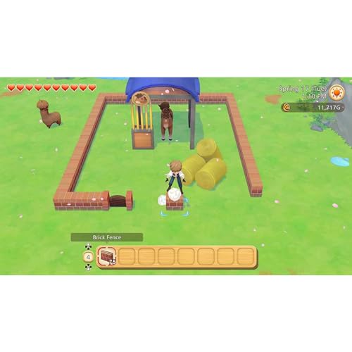 Story of Seasons Pioneers of Town PS4 Neuf - vue 9
