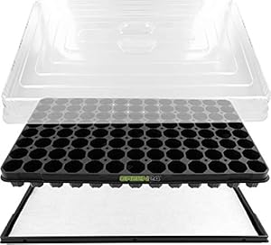 GREEN24 PRO104 Anzuchthaus Zimmer-Gewächshaus XL