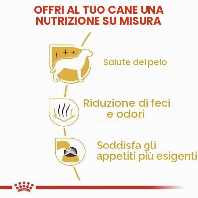 Maltby - 2 confezioni di cibo per cani Royal Canin per maltesi adulti, confezione da 1,5 Kg (3 kg in totale)