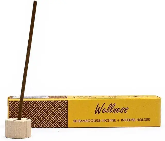 Song of India Bambooless Herbal Incense Sticks with Holder - 50 Pieces