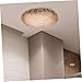 PRETYZOOM 2pcs Anti-Dazzling Lamp Shade Diffuser for Ceiling Lights Elastic Cover Adjustable 360° Light Shading Tool for Baby Rooms and Home Decor