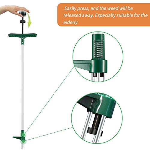 Walensee Unkrautstecher, Unkrautentferner Länge 100cm, mit DREI-Kiefer für effizientes Entfernen von Unkraut, Krallen und Pedale aus verdickter und gehärteter Edelstahl, Gartenwerkzeug