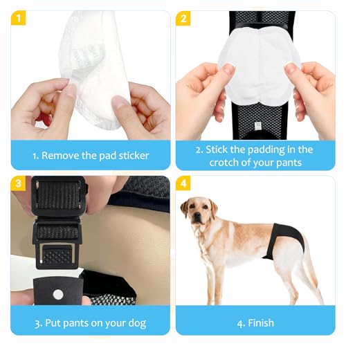 3er-Pack LäUfigkeitshose FüR HüNdinnen,HöSchen FüR Hunde LäUfigkeit, Mit 10 Damenbinden, Verstellbare Taille, Geeignet FüR LäUfige HüNdinnen, Schwarz XL