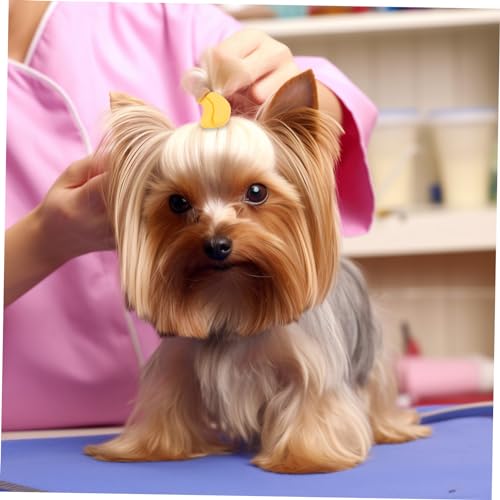 DRESSOOS 10 Pcs Percelo de estimação acessórios para cães menina cocar de cachorro filhote de cachor