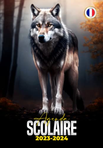 Agenda Scolaire 2023-2024: Organiseur Scolaire Pour Garçon, Fille | Primaire, Collège, Lycée, Etudia