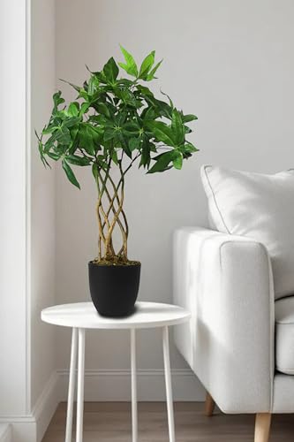 Arnusa Planta artificial de 65 cm en maceta, planta verde, planta artificial con tronco trenzado