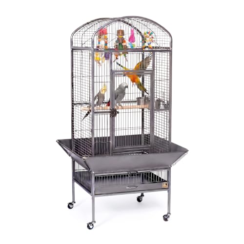 Image of Prevue Pet Products Dometop Bird Cage - Large, Black Hammertone