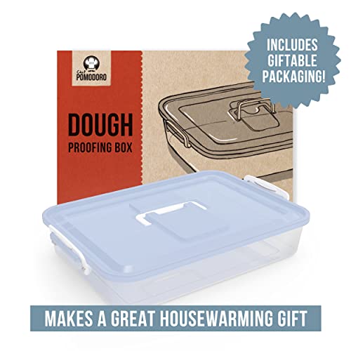 Chef Pomodoro Pizza Dough Proofing Box, 14 X 11-Inch, Pizza Dough Container, Fits 4-6 Dough Balls, Household Pizza Dough Tray With Convenient Carry Handle (Blue) #TOP6