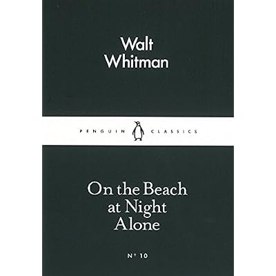 On the Beach at Night Alone