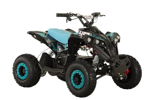 Mini quad elettrico Lion R6 1200w 48v