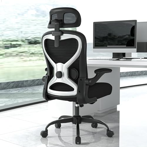 Ergonomic Office Chair, Mesh Desk Chair with Headrest,...