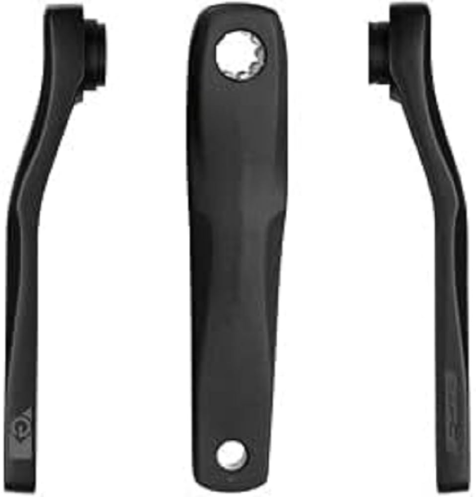 FSA Crankset E-Bike CK-746-2/IS 170 mm, Sport, Black (Black), One Size