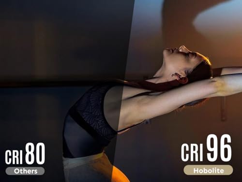 HOBOLITE Hobolite Avant LED ビデオライト 標準キット 100W の商品画像 4