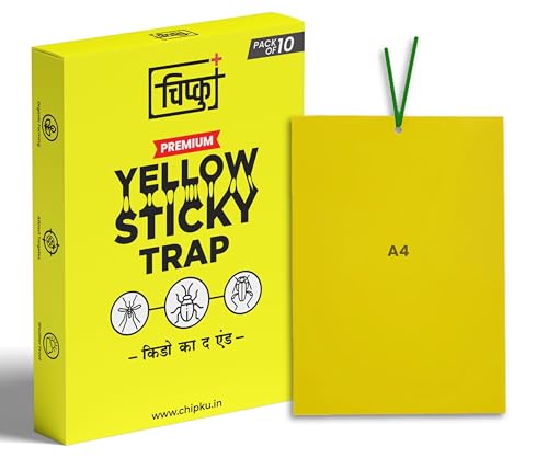 Image of Chipku A4 PVC Yellow Sticky Trap Pack of 10 for Insects | Powerful Eco Fly Glue Trap for White Fly, Aphids & Thrips | Chemical-Free Agriculture & Garden Pest Control