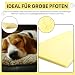 Best For Pets Orthopädisches Hundebett | Hundebett Waschbar | Viskoelastisches Hunde Bett | Orthopädisches Hundekissen | Memory Foam Matratze | | Faltbares Hunde Bett (85x65x4)