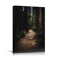 Canvas Wall Art Green Forest Dramatic Forest Landscape Living Room Multicolor Photography Rustic - 12x18 inches