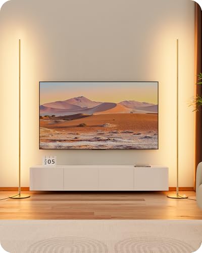 EDISHINE 2PCS Lampadaire sur Pied Salon LED à Intensité Variable en Continu, Lumière Blanc Chaud 3000K, Lampadaire d'Angle avec Interrupteur à Pied, Lampe d'Ambiance Moderne pour Chambre, Salon, Doré