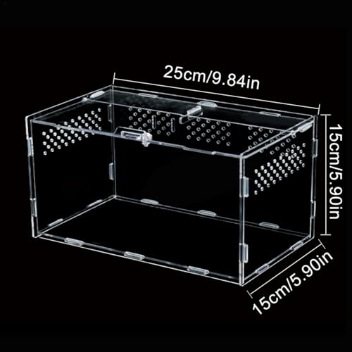 Terrarium acrylique pour insectes et tortues à poser dans le salon