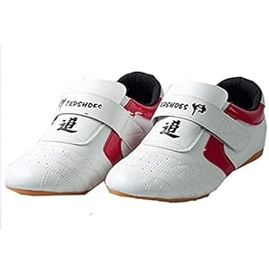 Taekwondo Schoenen, Ademende Kung Fu Tai Chi Schoenen Voor Volwassenen En Kinderen (Color : White, Size : 33 EU)