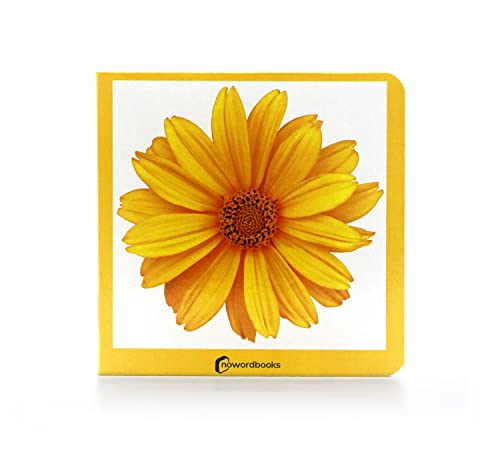 Amarillo: 41 (Mis Primeras Imágenes)