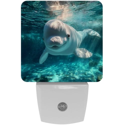Image of NEWzone Dolphin Night Light [2 Pack], Plug in Wall Led Night Lights Decor for Boys Girls Room, Dusk to Dawn Sensor Wall Lamp for Stairway /Bedroom /Kitchen /Nursery Room