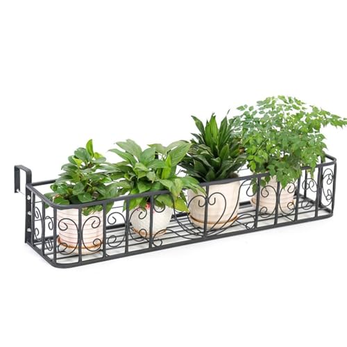 Support à fleurs en fer forgé compact pour plante grasse et extérieure