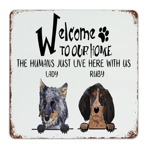 Welcome to Our Home The Humans Just Lives Here Targa in metallo personalizzata in latta per fattoria caffè bar segni personalizzati nome cane gatto foto uomo grotta decorazione targa in metallo per Welcome to Our Home The Humans Just Lives Here Targa in metallo personalizzata in latta per fattoria caffè bar segni personalizzati nome cane gatto foto uomo grotta decorazione targa in metallo per