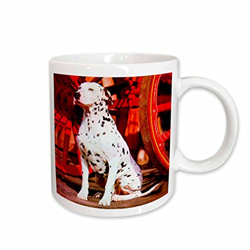 3dRose Dalmatian 15oz Mug