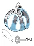 UNA MASCOTA Pechera Arnés Transpirable Cómodo con Correa para Perro Gato,con Tira Reflectante (Azul, XS)