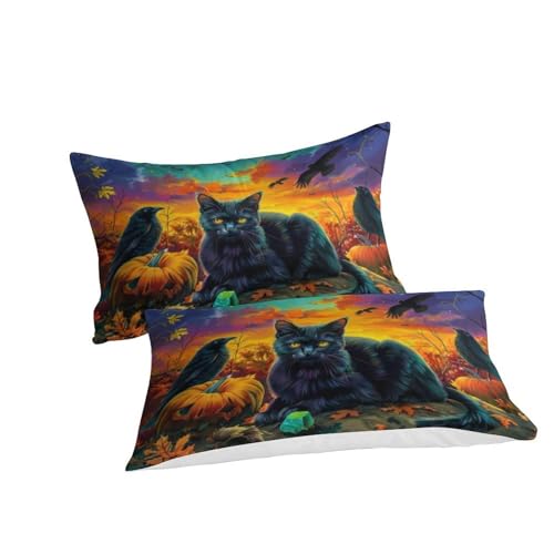 Housse de couette chat et citrouille 3D avec fermeture éclair pour lit simple - 3