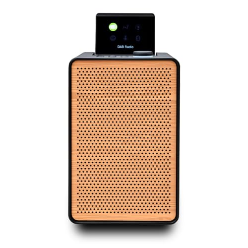 Preisvergleich Produktbild Pure Evoke Spot kompaktes Musiksystem (DAB+ / FM Radio, Internetradio, Spotify Connect, Bluetooth) Special Edition Schwarz / Holz