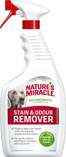 Nature's Miracle Stain & Odour Remover Perro, centra en la suciedad cotidiana, aroma cítrico ligero y fresco, 709 ml