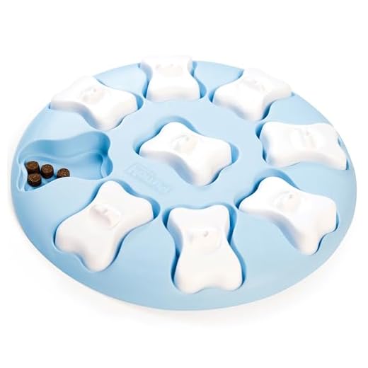 Nina Ottosson por Outward Hound Puppy Smart - Dispensador Interactivo de recompensas - Rompecabezas para Perros - Azul