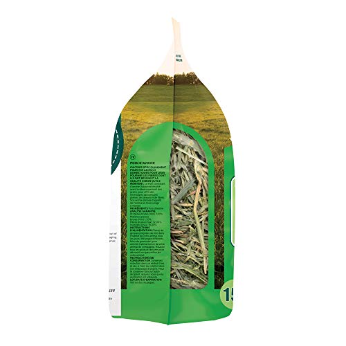 Oxbow Animal Health Oat Hay for Pets, 15-Ounce, All Life Stages, rabbit, 1 Count