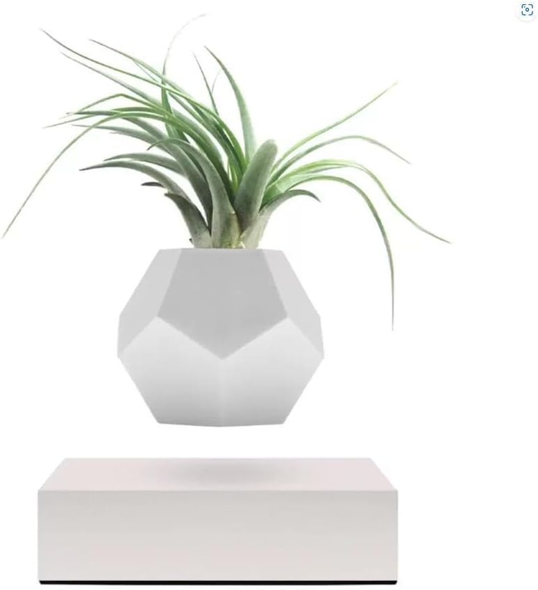 Lyfe 無重力プランター なにこれ⁉宙に浮く無重力プランター「LYFE」が