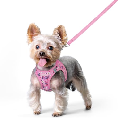 Image of rabbitgoo Dog Harness Small Sized and Leash Set, Step-in Puppy Pet Vest