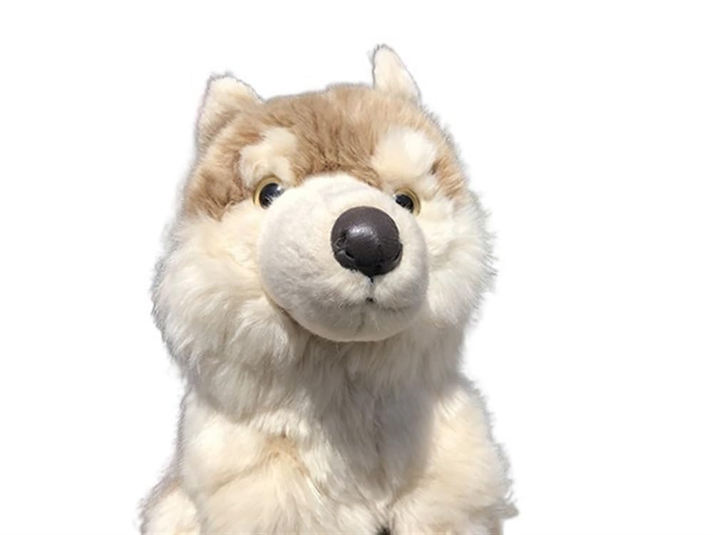 Amazon.co.jp: シミュレーションツンドラオオカミぬいぐるみハイイロ