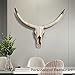 Notakia Gaobei Long Horn Cow Skull Wall Hanging Longhorn Steer Southwest Bull Skull Sculpture Resin Decoration