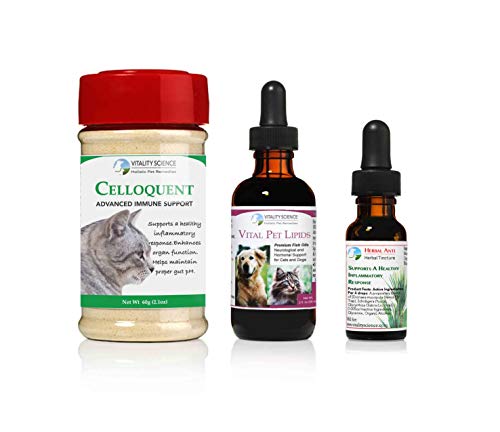 Vitality Science Advanced Immune Restoration Program for Cat Cancer Support | Holistic 3 Step Program | Immune Support | Cat Cancer Treatment | Supplements & Pain Relief (Small)