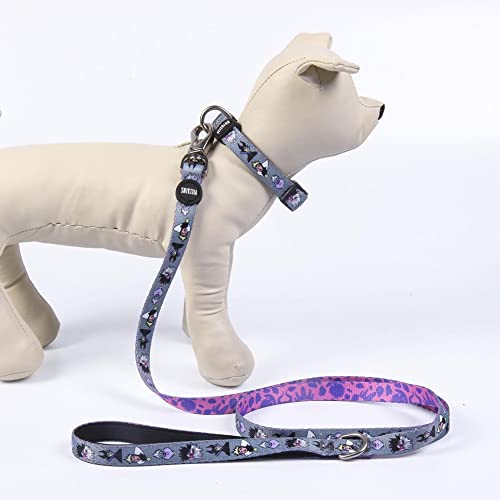 Dog Wearing Disney Villanas Collar