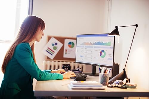 Philips 24E2N1100LB - Moniteur Full HD 24 Pouces, synchronisation d'image adaptative (1920x1080, 100 Hz, 1x D-Sub, 1x HDMI 1.4) Noir